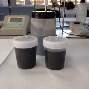 Caracterización de lodos de depuradora enero 2016 #3 / Characterization of sewage sludge January 2016 #3