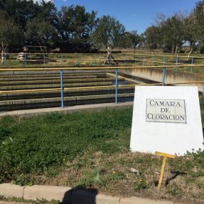 Visita a la EDAR de Mérida 11 marzo 2016 #4