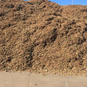 Visita a Planta Biomasa-6