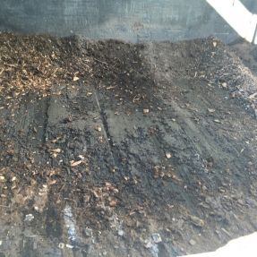 Visita a Planta Biomasa-7