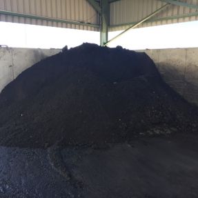 Visita a Planta Biomasa-11