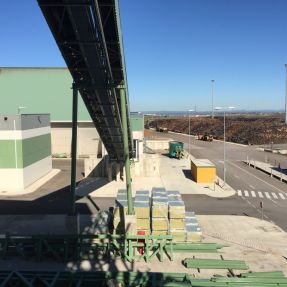 Visita a Planta Biomasa-3