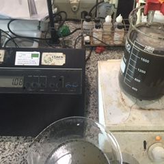 16 07 Ensayos de solubilización selectiva / Selective solubilization trials