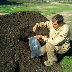 Compostaje finalizado / Compost complete