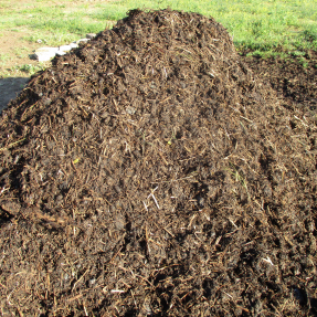 Pila de compost / compost pile