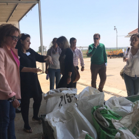 3ª visita seguimiento/3rd visit monitoring -  Campos de Ensayo 1/Trial Fields 1 - CTAEX 10 may 2018