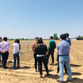 3ª visita seguimiento/3rd visit monitoring -  Campos de Ensayo 2/Trial Fields 2 - CTAEX 10 may 2018