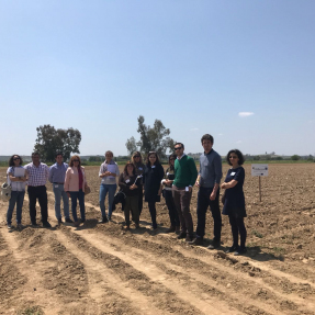 3ª visita seguimiento/3rd visit monitoring -  Campos de Ensayo 3/Trial Fields 3 - CTAEX 10 may 2018