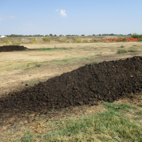 Compost maduro / Mature compost