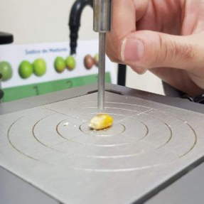 Caracterización de la dureza del grano / Characterization of the grain hardness - Nov18