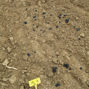 Siembra y abonado de fondo / Seeding and basal dressing - Oct18