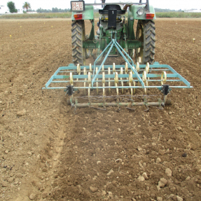 Siembra y abonado de fondo / Seeding and basal dressing - Oct18