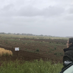 4ª visita seguimiento / 4th visit monitoring   24.04.2019 - Campos de Ensayo / Trial Fields