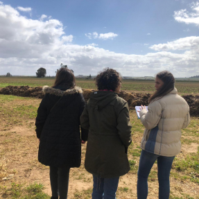 5ª visita seguimiento / 5th visit monitoring 02.03.2020 - Campos de Ensayo / Trial Fields