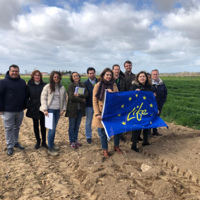 5ª visita seguimiento / 5th visit monitoring 02.03.2020 - Campos de Ensayo / Trial Fields