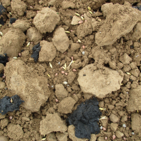 Siembra y abonado de fondo / Seeding and basal dressing - Oct18